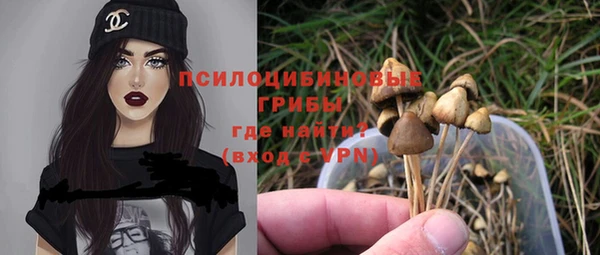каннабис Шадринск