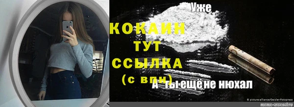 дмт Шали