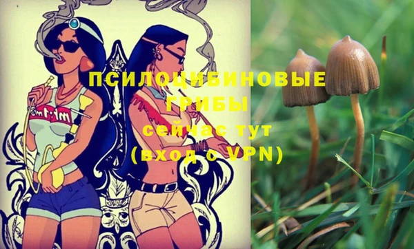 дмт Шали