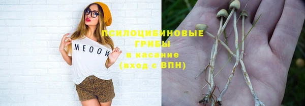 дмт Шали