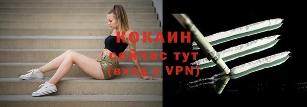 дмт Шали