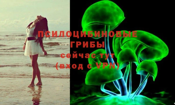 каннабис Шадринск