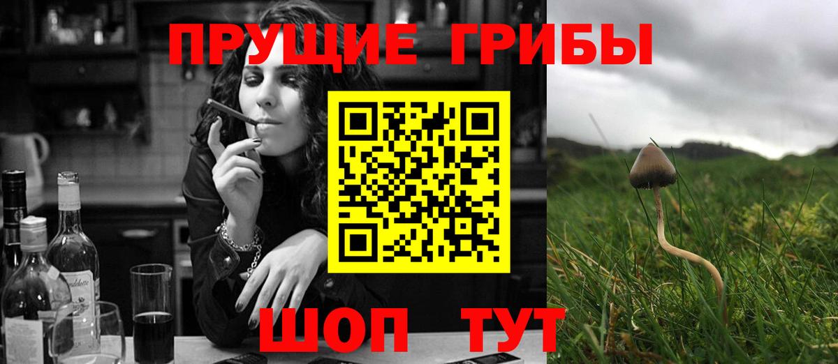 Галлюциногенные грибы прущие грибы Петрозаводск